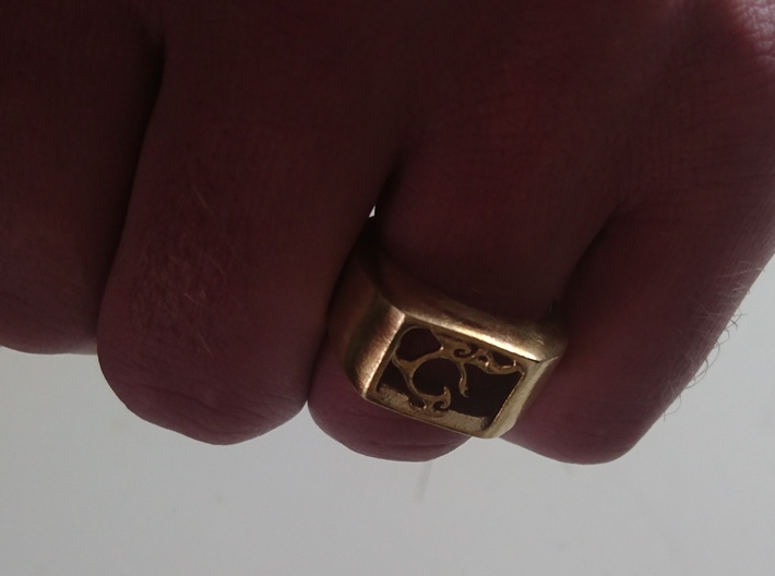 Segunda - The One Ring 3d printed 