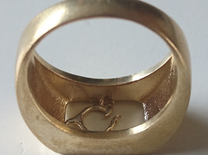 Segunda - The One Ring 3d printed 