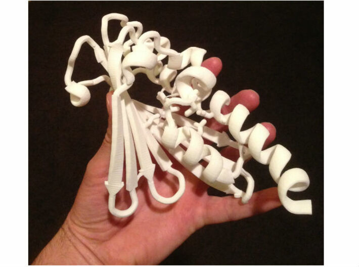 Dicamba O-demethylase (pdb id: 3GTS) 3d printed Note the active site residue side chains 