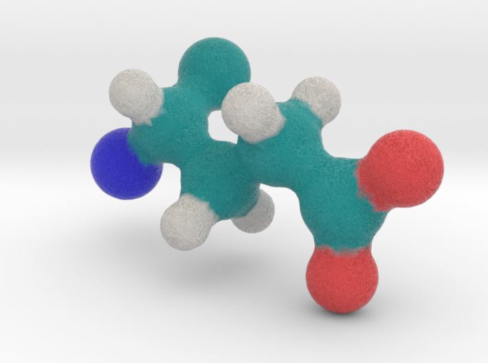 Amino Acid: Glutamate 3d printed