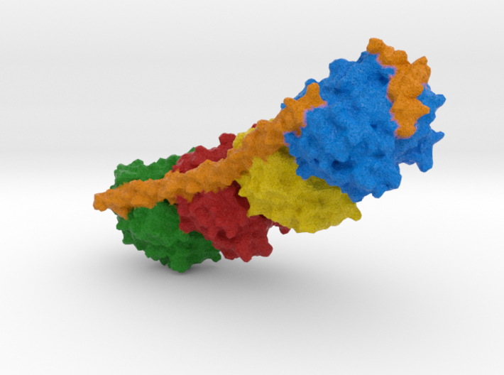 Microtubule 3d printed