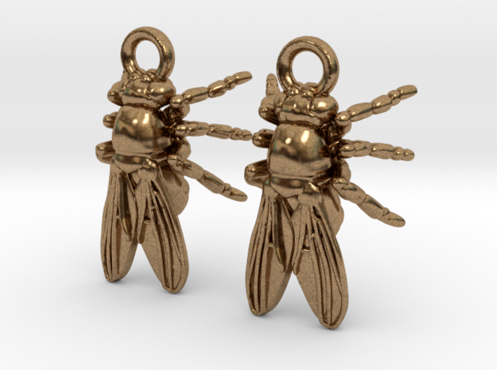 Drosophila Fruit Fly Earrings - Science Jewelry 3d printed