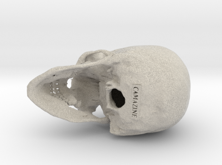 Human skull - 65mm 3d printed