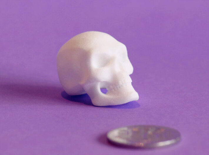 3D Printed Skull - Small 3d printed Next to an Australian 10cent piece to show the approximate size of the Skull