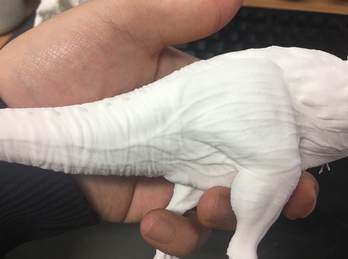 Feathered Tyrannosaurus for stevedexter 3d printed 