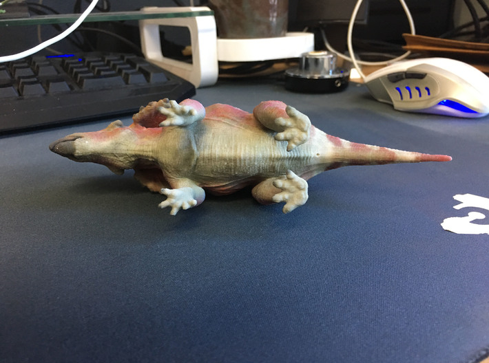 Triceratops Baby(Small/Medium-color size) 3d printed 