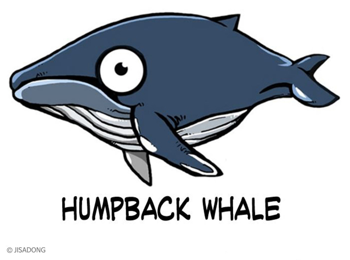 Breedingkit Humpback Whale 3d printed