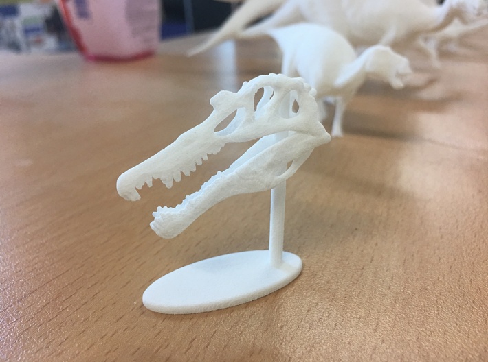 Spinosaurus Skull 3d printed 