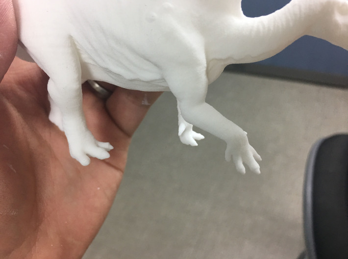 Ouranosaurus (Medium/Large size) 3d printed 