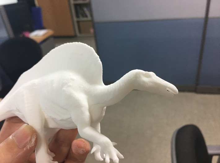 Ouranosaurus (Medium/Large size) 3d printed 