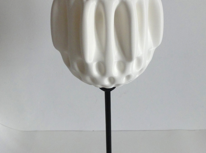 Organic Lamp Shade 1 3d printed 