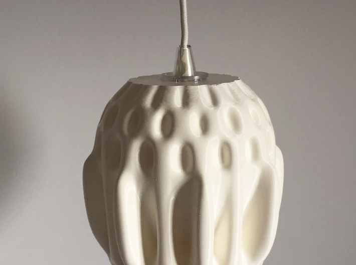 Organic Lamp Shade 1 3d printed 