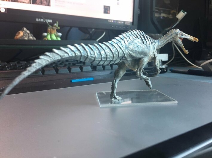 Suchomimus (Medium / Large size) 3d printed 