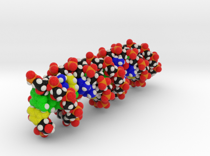 DNA Molecule. 3d printed 