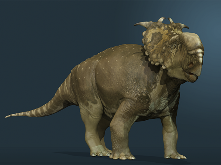 Pachyrhinosaurus canadensis - 1/72 3d printed Color suggestion, rendered in Zbrush.