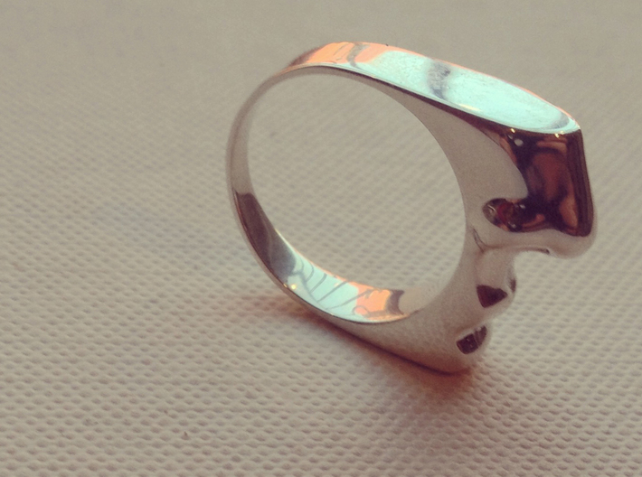 Taste and Smell Ring 3d printed Polished Silver
