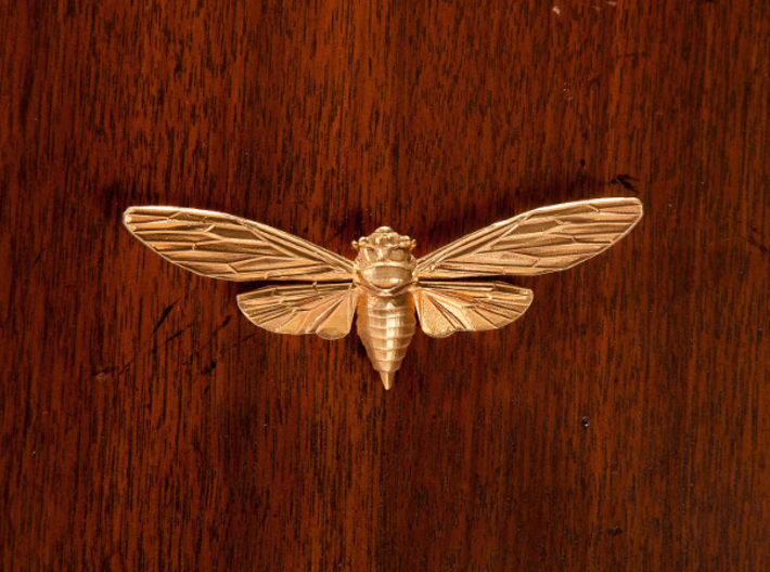Raw Brass Cicada 3d printed