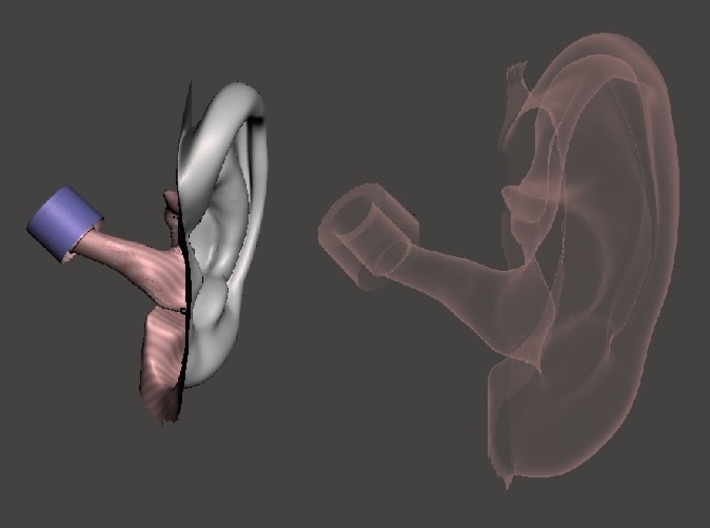 DIY Binaural Ear + Canal Anatomically Accurate - L 3d printed Inside L