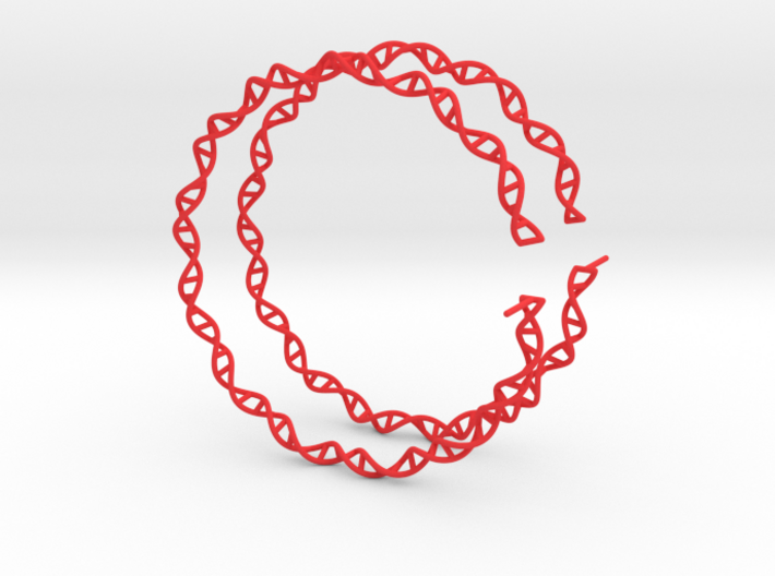Double Helix 75 mm (3&quot;) Hoops - curly 3d printed