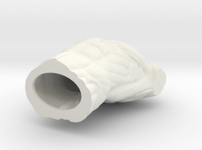 Male Bust Anatomy Reference 3d printed