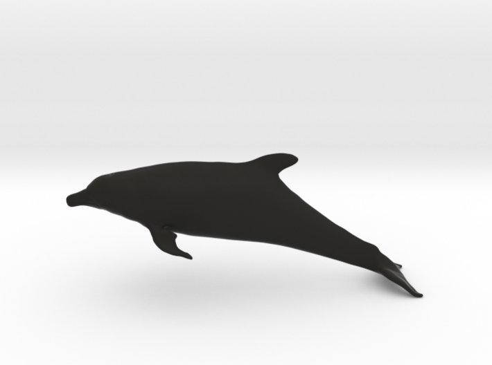 Bottlenose Dolphin (Turiops truncatus) 3d printed 