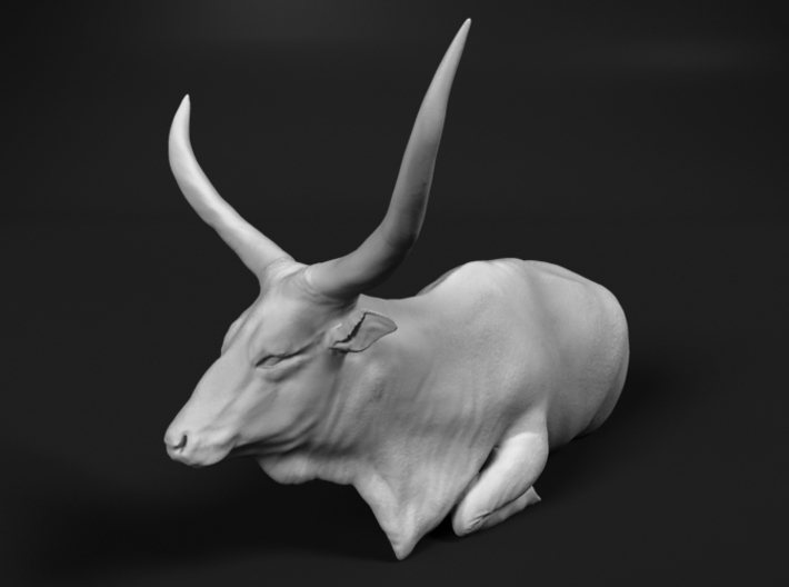 Ankole-Watusi 1:32 Lying Female 1 3d printed 