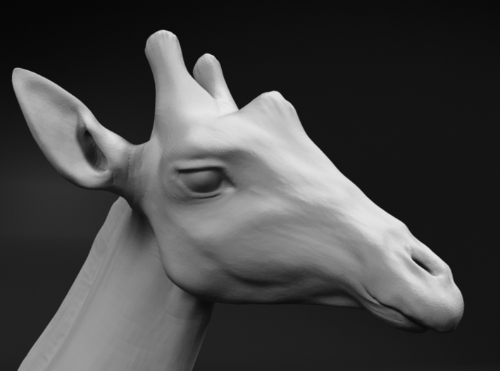 Giraffe 1:32 Standing Male 3d printed 