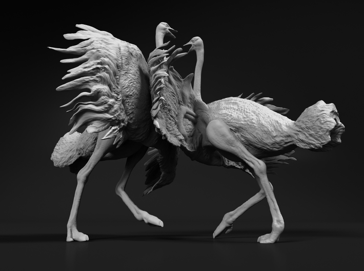 Ostrich 1:22 Fighting Pair 3d printed 