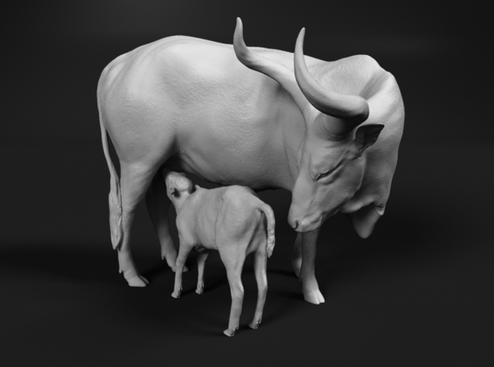 Ankole-Watusi 1:25 Mother and Calf 3d printed 