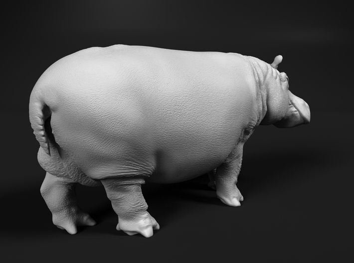 Hippopotamus 1:160 Walking Male 3d printed 