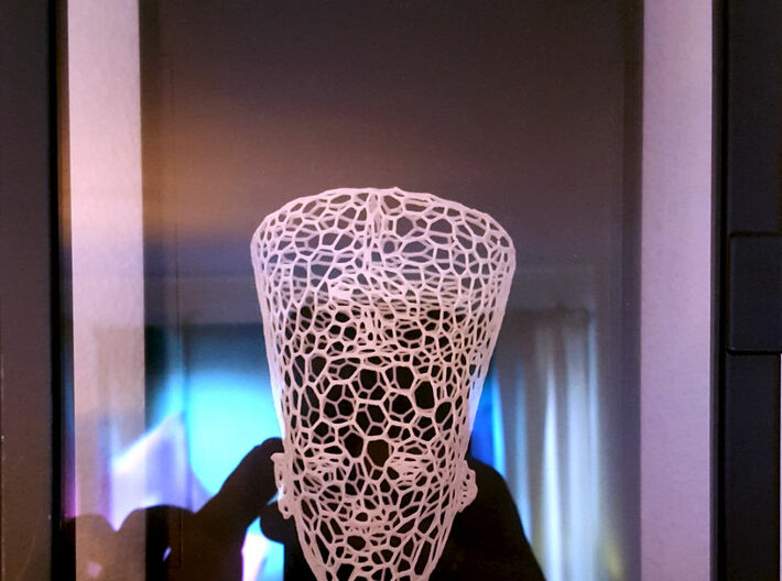Nefertiti Voronoi 3d printed 