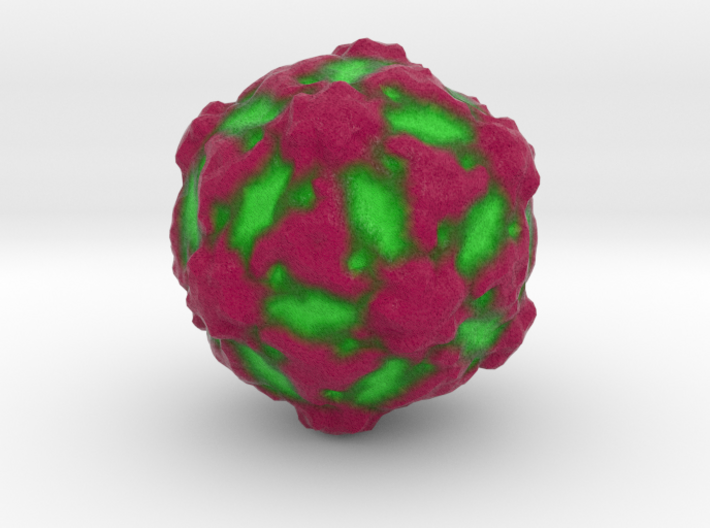 Grapevine Fanleaf Virus 3d printed