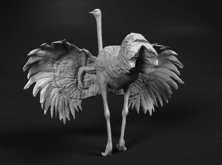 Ostrich 1:48 Wings Spread 3d printed 