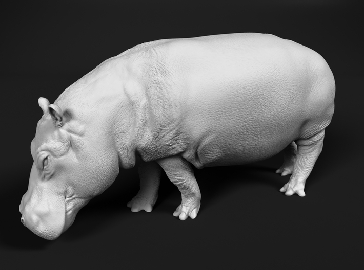 Hippopotamus 1:160 Walking Female 3d printed 