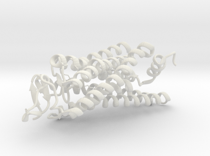 Rhodopsin Protein 3d printed 