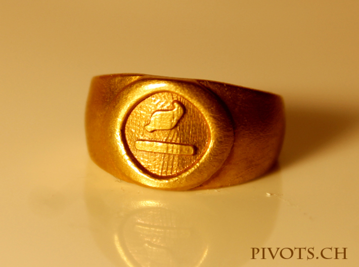 4 Elements - Earth Ring 3d printed Raw Bronze
