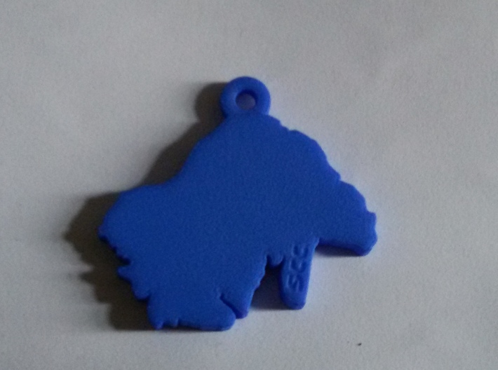 Keyring / Pendant 3d printed 