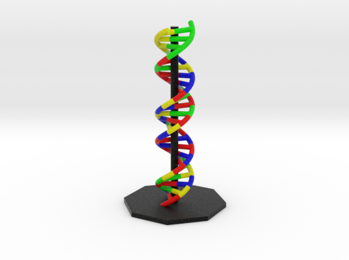 DNA Helix 3d printed DNA Alpha Helix Molecule Model Render.