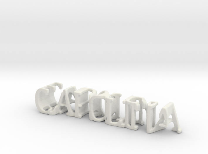 3dWordFlip: CAROLINA/Biological 3d printed