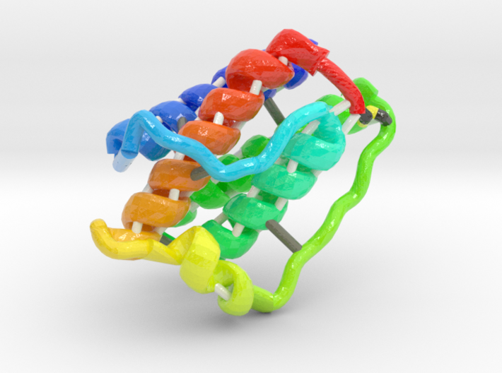 Leptin 3d printed