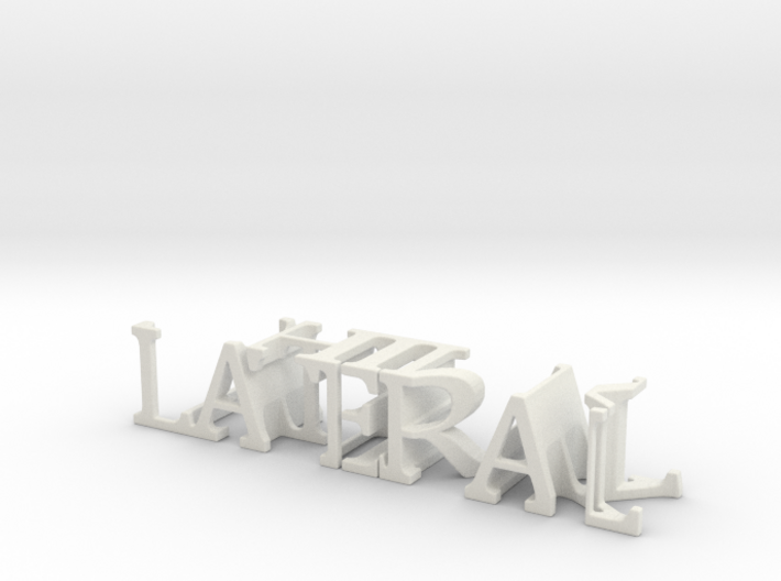 3dWordFlip: LATERAL/THINK 3d printed