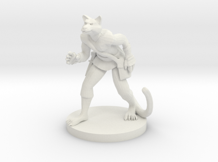 Tabaxi Male Rogue 3d printed