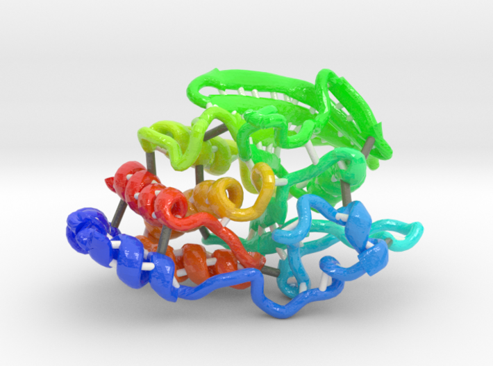 Protein Tyrosine Phosphatase Mu (PTPμ) 3d printed