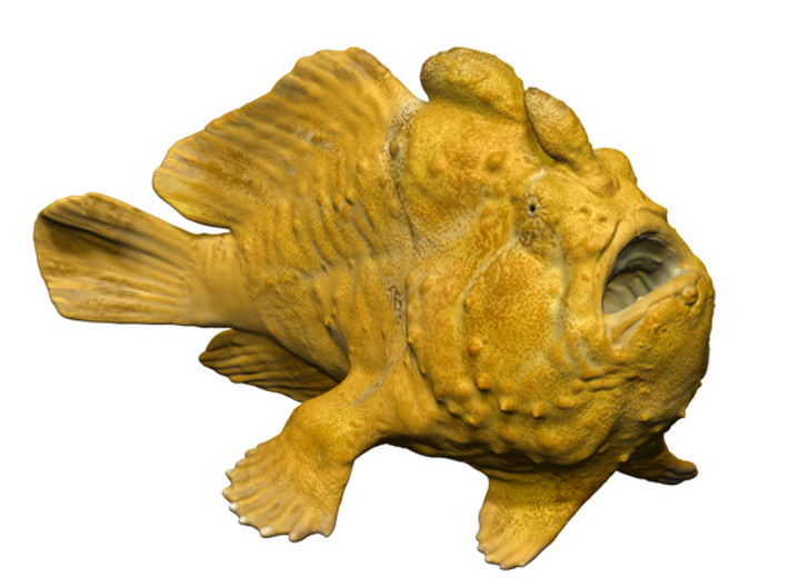 Frogfish15cm 3d printed 