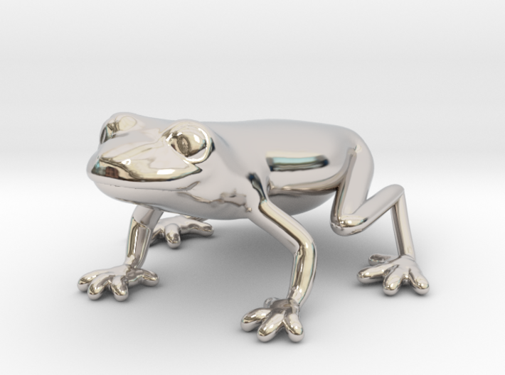 Red Eyed Tree Frog 3d printed