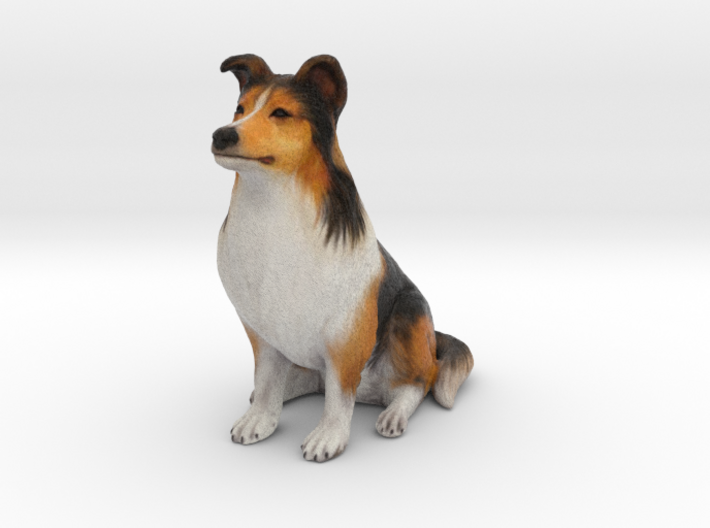 Dog Rough Collie Pet 8cm 3d printed 