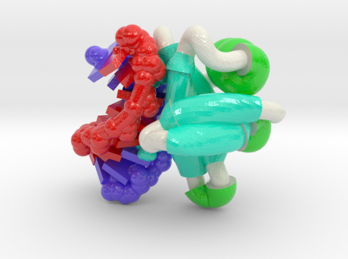 Sso7d ComplexWithDNA 3 Max 3d printed