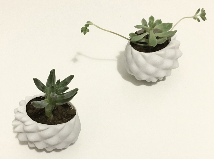 Bumpy Succulent Planter - Large 3d printed 'bumpy' planter - small & medium versions