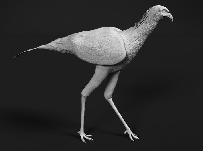 Secretarybird 1:35 Walking 3d printed