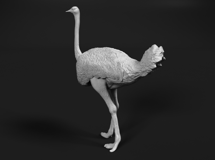 Ostrich 1:72 Standing Calm 3d printed